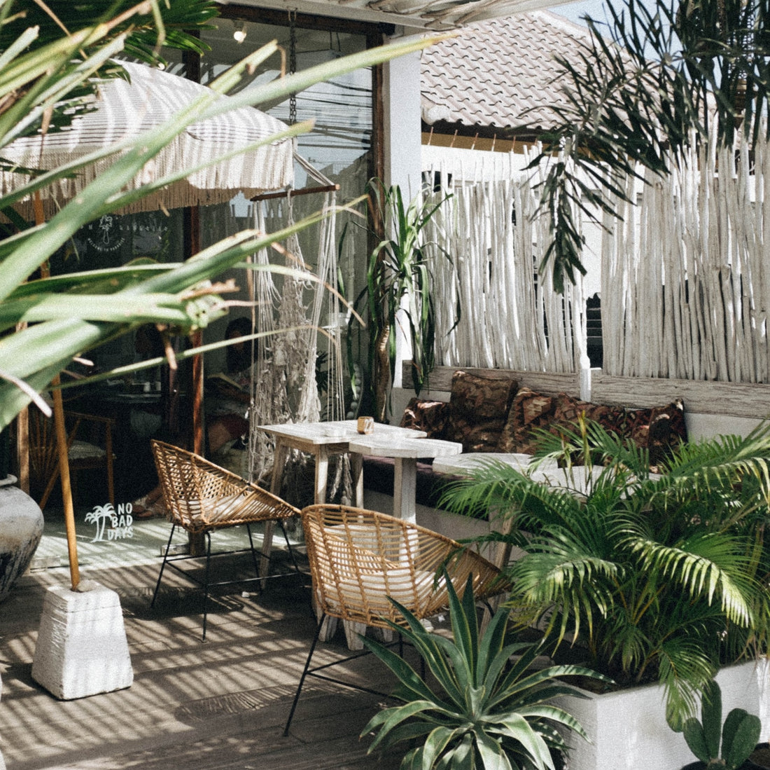 interieur tropical plante fruit exotique