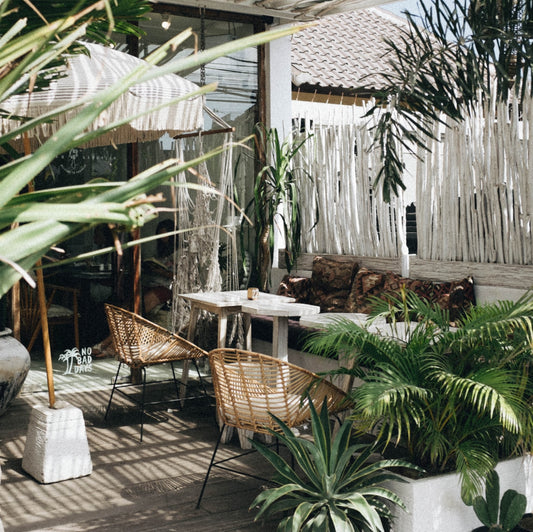 interieur tropical plante fruit exotique