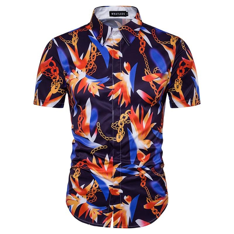 chemise colorée écarlate et azuré