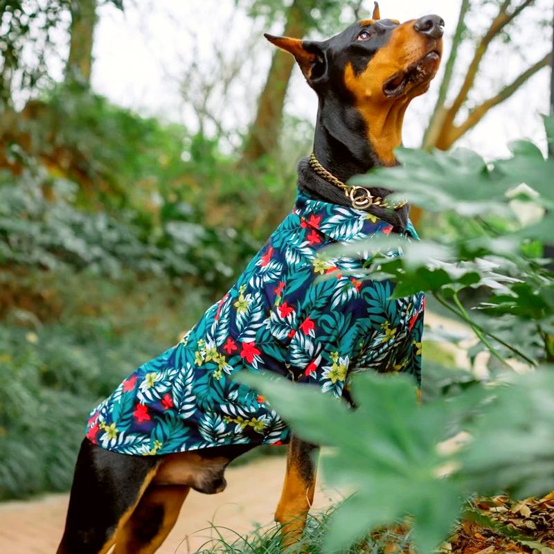 chemise hawaïenne feuilles de palmiers pour chiens