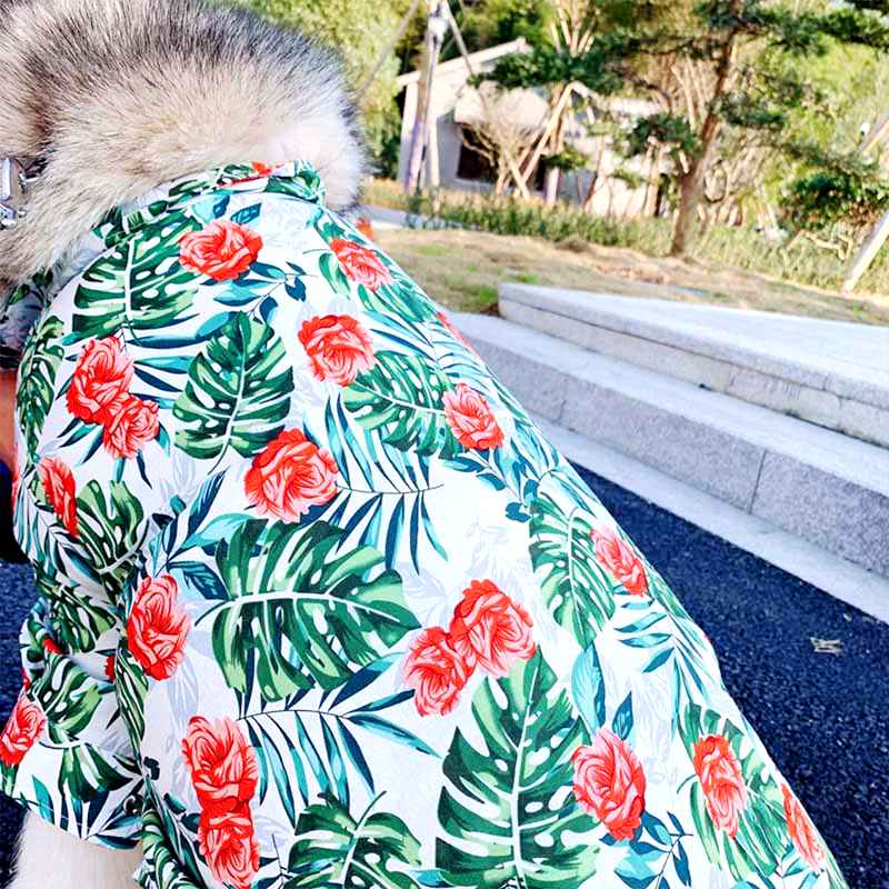 chemise hawaïenne tropicale