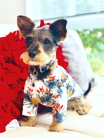 CHEMISE ANANAS BLANCHE POUR CHIEN