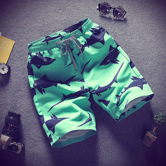 SHORT DE PLAGE REQUIN
