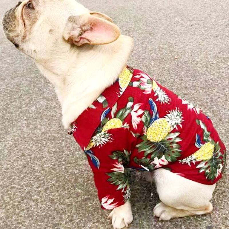 chemise hawaïenne ananas rouge pour chiens