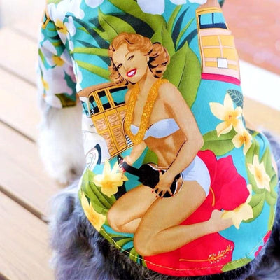 chemise hawaienne pin up pour chien