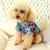 chemise hawaienne colorée pour chien