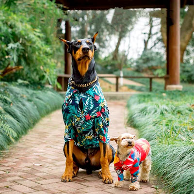 chemise hawaïenne feuilles de palmiers pour chiens