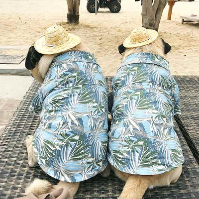 chemise palmier pour chiens